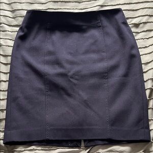 LOFT Navy Suit Separate Skirt Petite